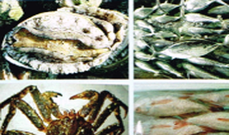 魚介類